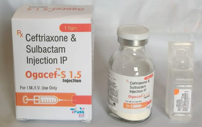 WhatsApp Image 2026-04-04 at 3.31.55 PM